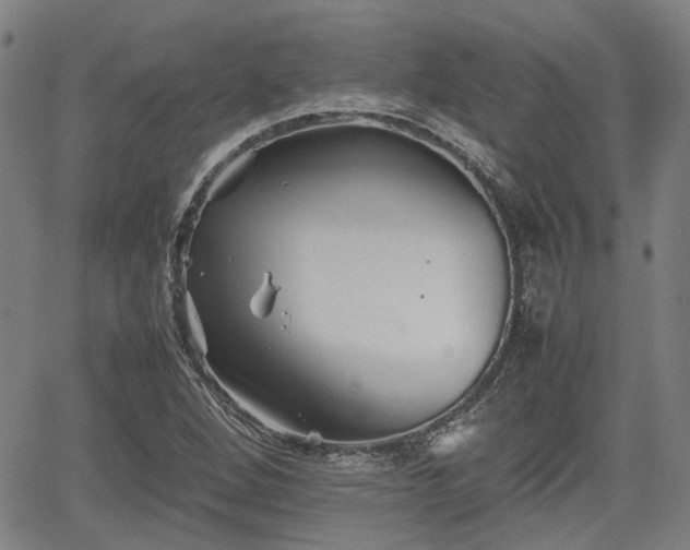 X0000062171264200512161242