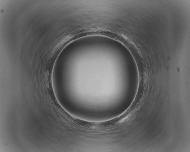 X0000062171265200512161242