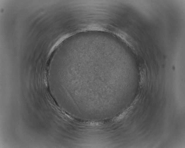 X0000062171266200512161242