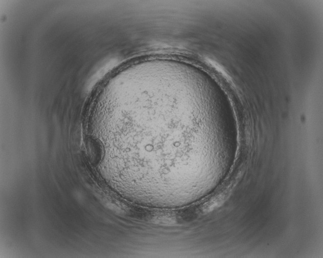 X0000062171267200512161242