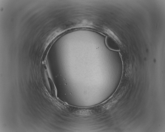 X0000062171268200512161242