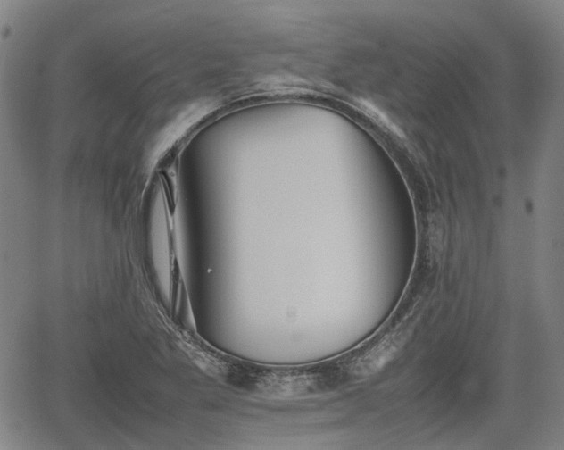 X0000062171269200512161242