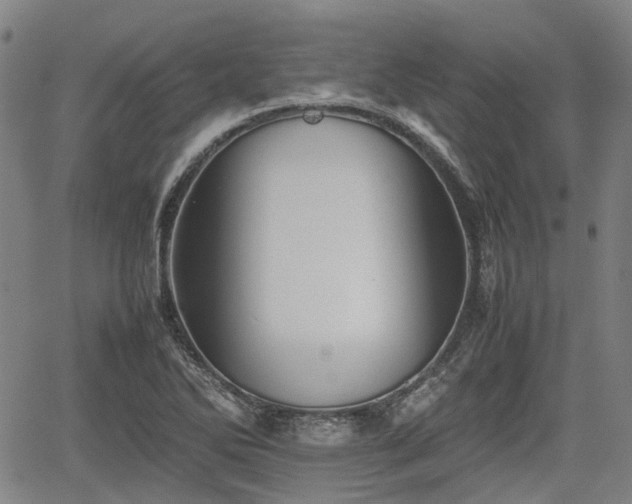 X0000062171270200512161242