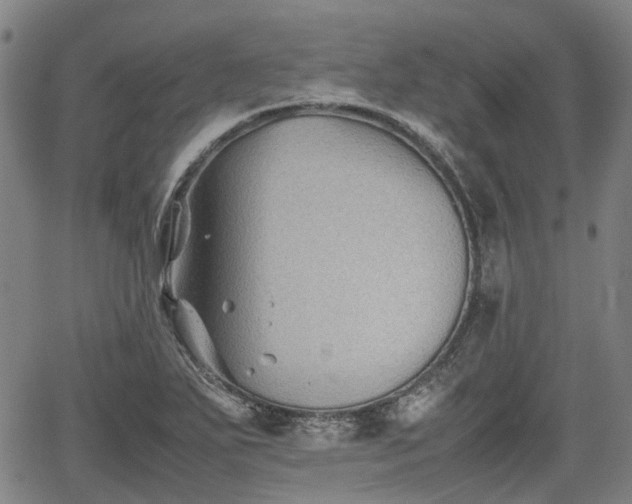 X0000062171271200512161242