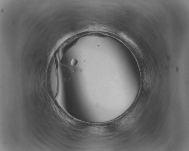 X0000062171272200512161242