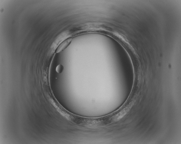 X0000062171273200512161242