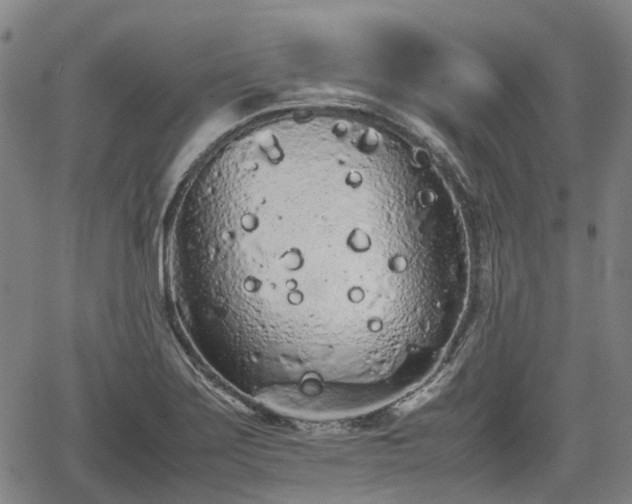 X0000062171275200512161242