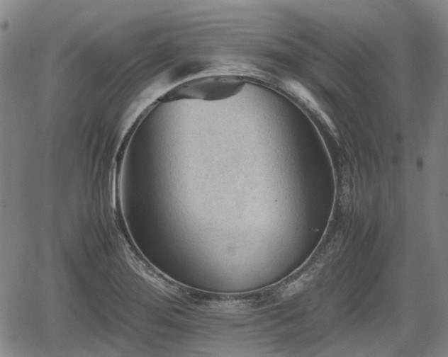 X0000062171276200512161242