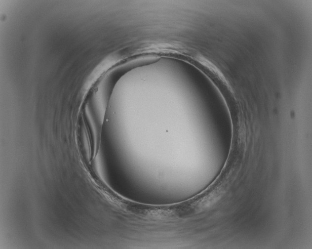 X0000062171277200512161242