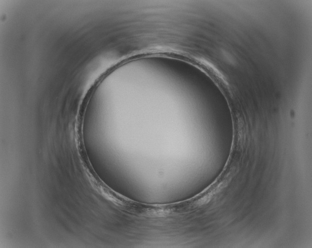 X0000062171278200512161241