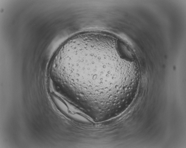 X0000062171279200512161241