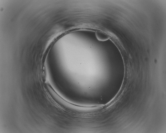 X0000062171280200512161241