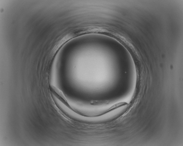 X0000062171281200512161241