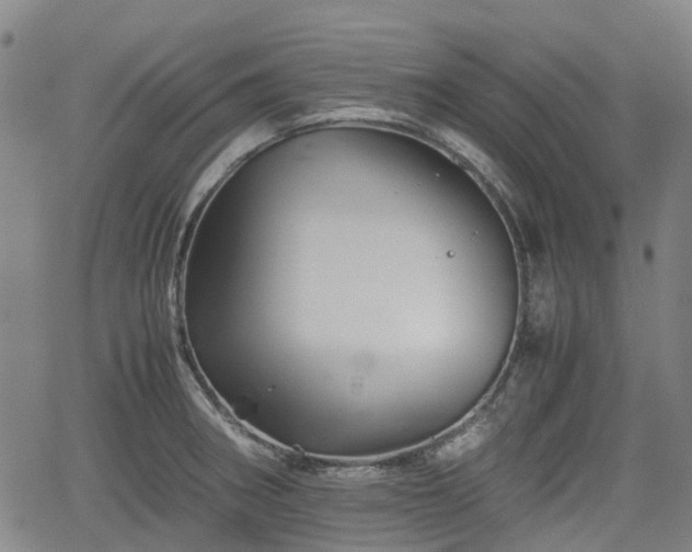 X0000062171282200512161241