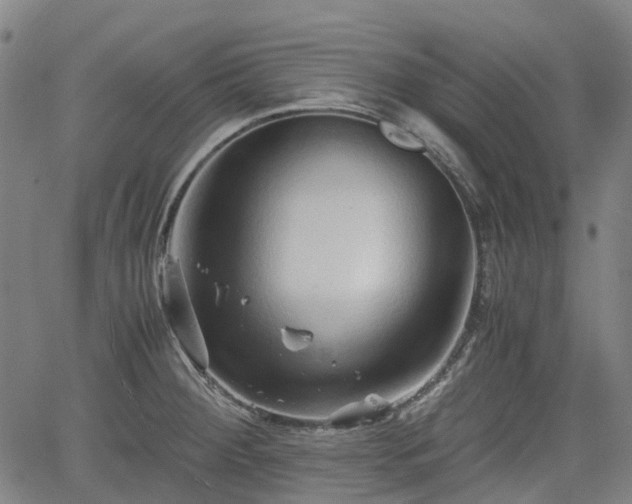 X0000062171284200512161241