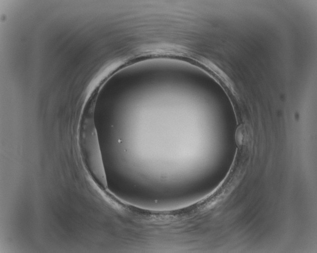 X0000062171285200512161241