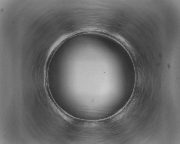 X0000062171286200512161241