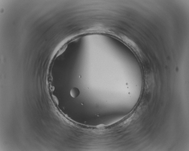 X0000062171288200512161241