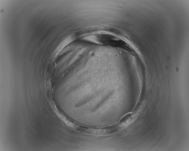 X0000062171289200512161241