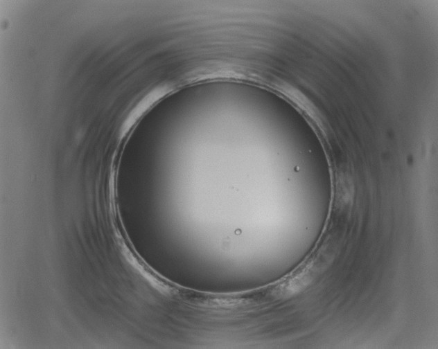 X0000062171290200512161241