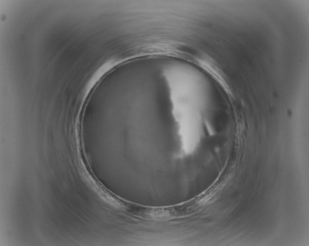 X0000062171291200512161241