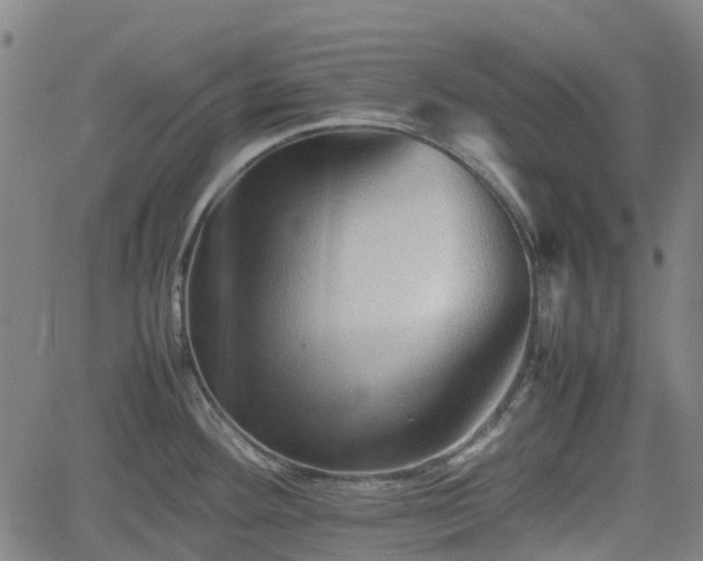 X0000062171292200512161241