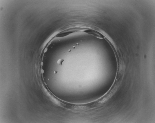 X0000062171293200512161241