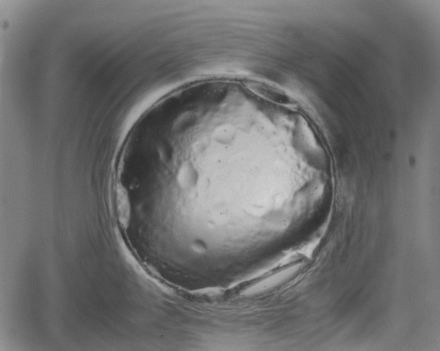 X0000062171295200512161241