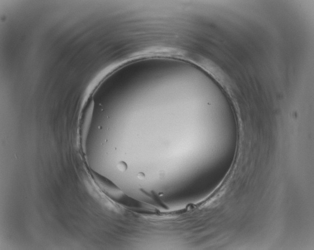 X0000062171296200512161241