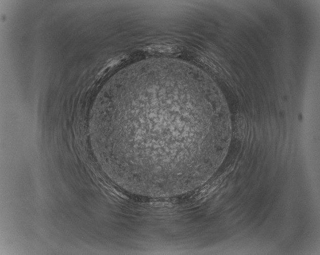 X0000062171297200512161240