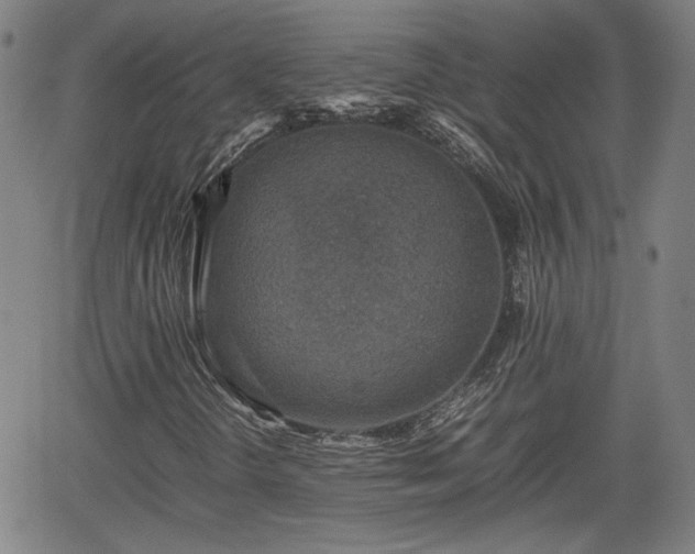 X0000062171298200512161240