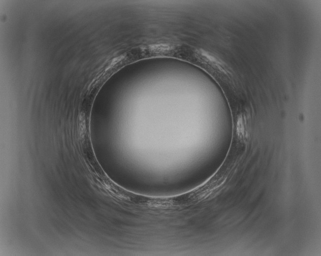 X0000062171299200512161240