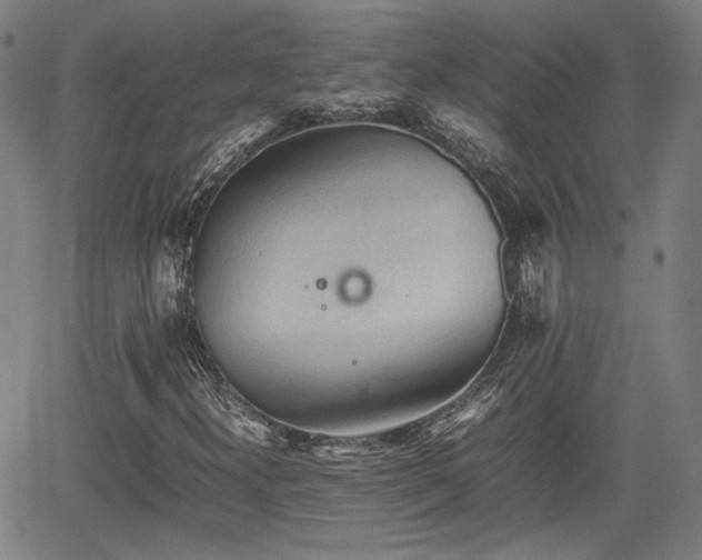 X0000062171300200512161240