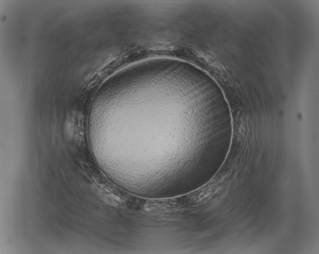 X0000062171301200512161240