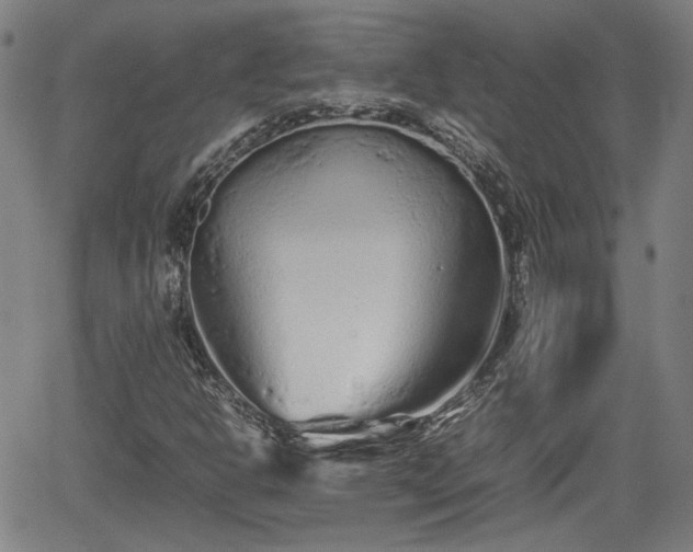 X0000062171302200512161241