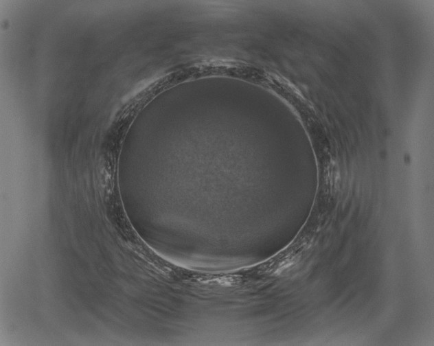 X0000062171303200512161241