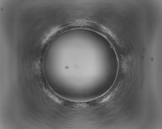 X0000062171304200512161241