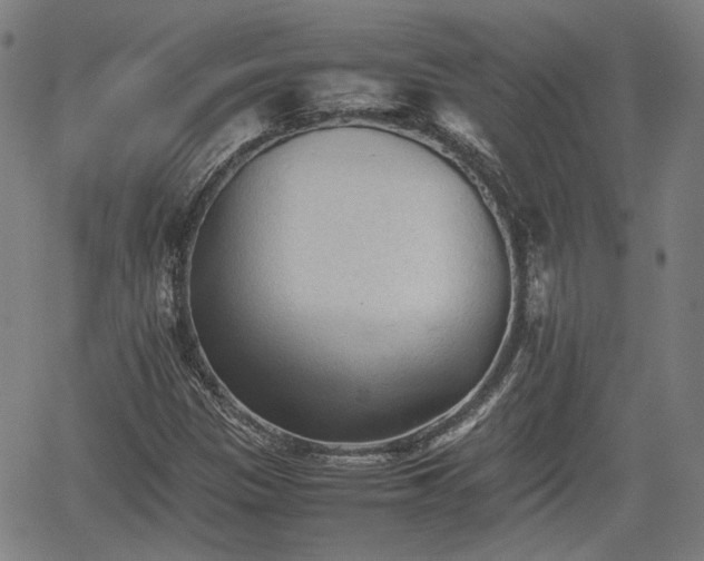 X0000062171305200512161241