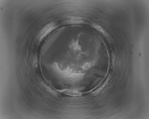 X0000062171306200512161241