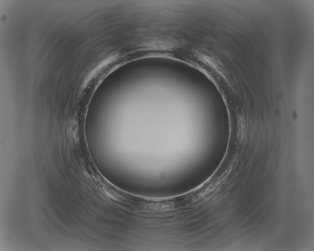 X0000062171307200512161241