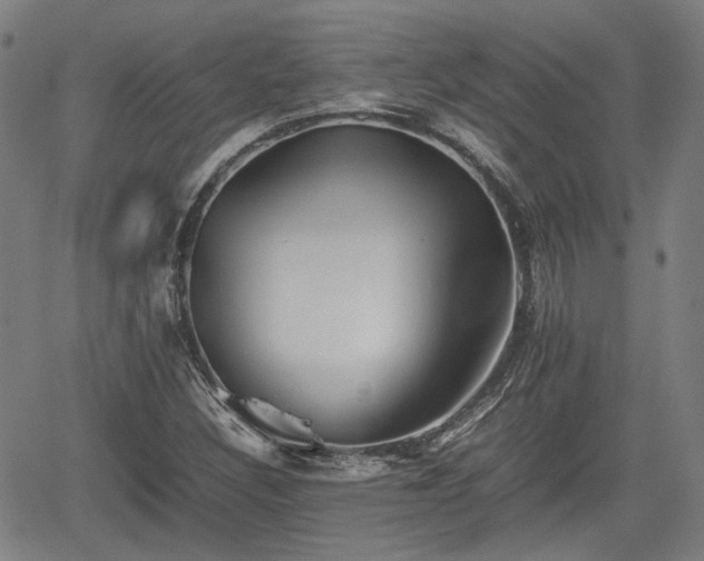 X0000062171308200512161241