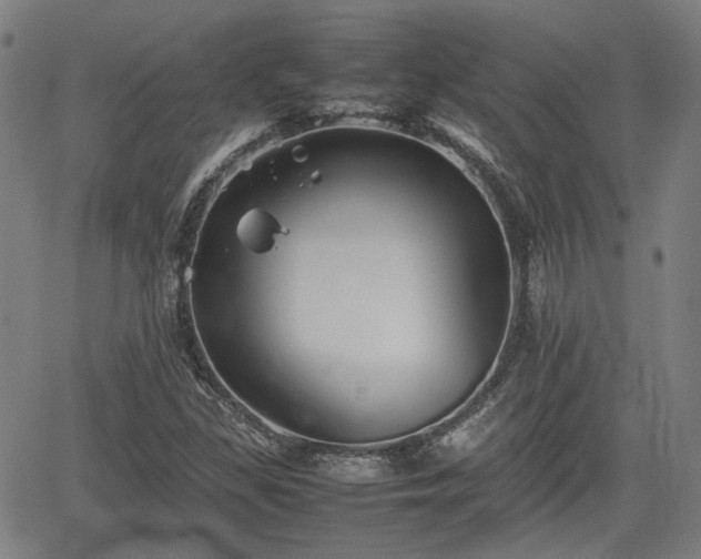 X0000062171309200512161241