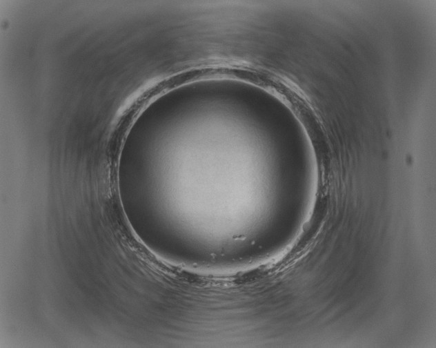 X0000062171310200512161241