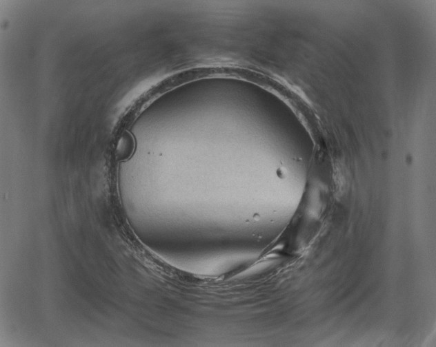 X0000062171311200512161241