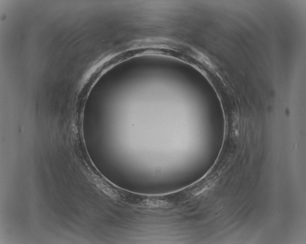 X0000062171312200512161241