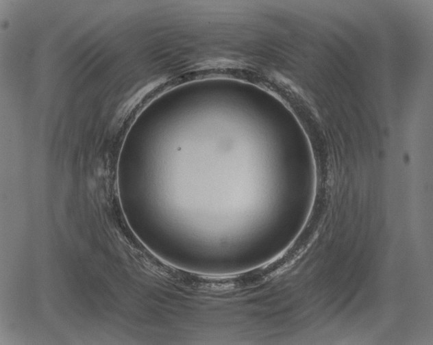 X0000062171313200512161241