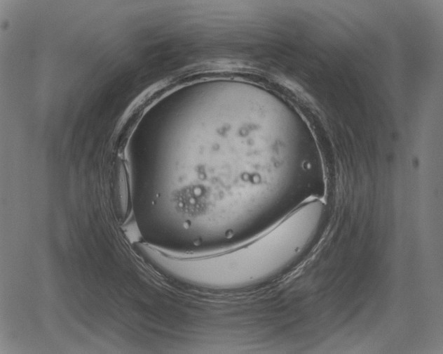 X0000062171314200512161241