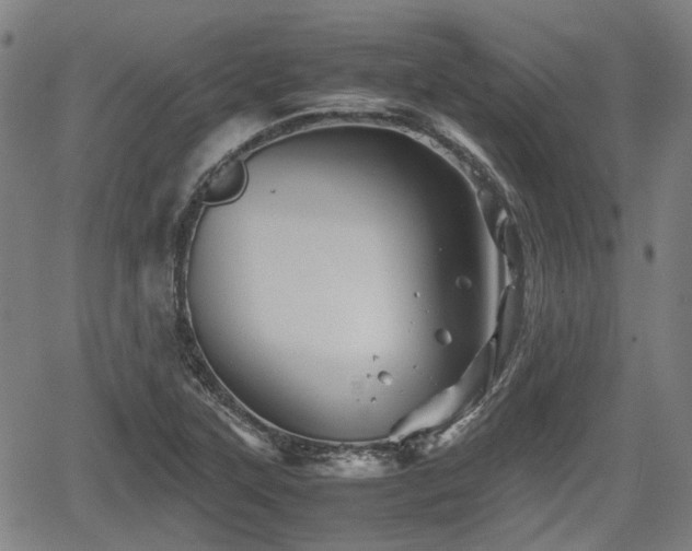 X0000062171315200512161241