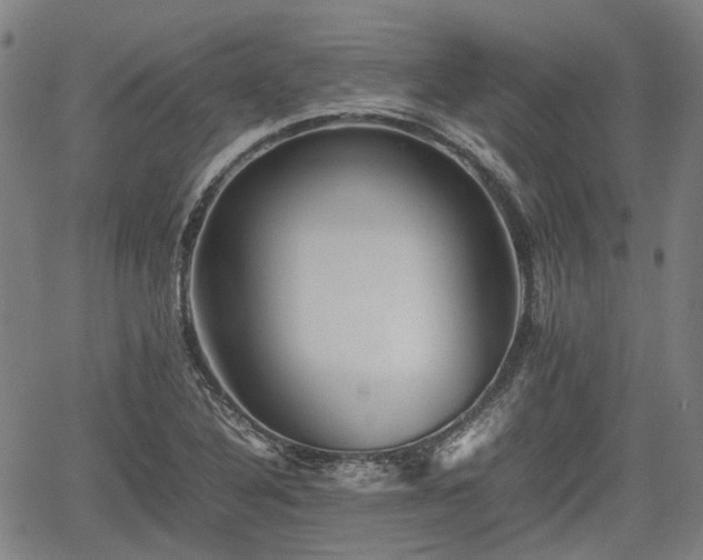 X0000062171316200512161241