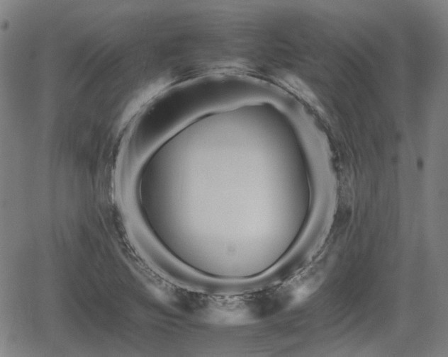 X0000062171317200512161241